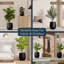 Grand pot de fleurs intérieur / extérieur en fibre de pierre Corso - noir tricorne H 21 po (ouverture 15 po)-1092926884-1092926882