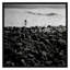 Contrast Print by Daniel Grant-1048793623