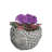 Derwin Statue Planter-1647429039-1647429038