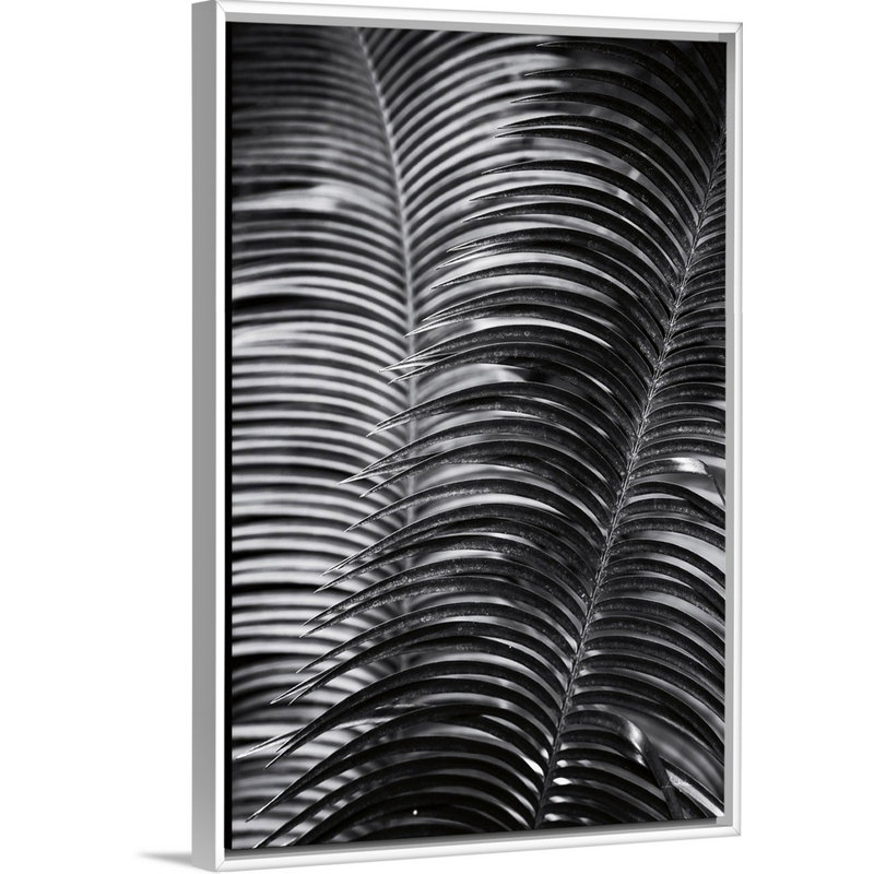 Art mural tropical III, Toile avec cadre blanc, H 32 po x l 22 po