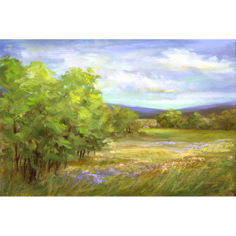 Meadow Flowers by Sheila Finch - Wrapped Canvas Print, 51cm H x 76cm W x 3.8cm D