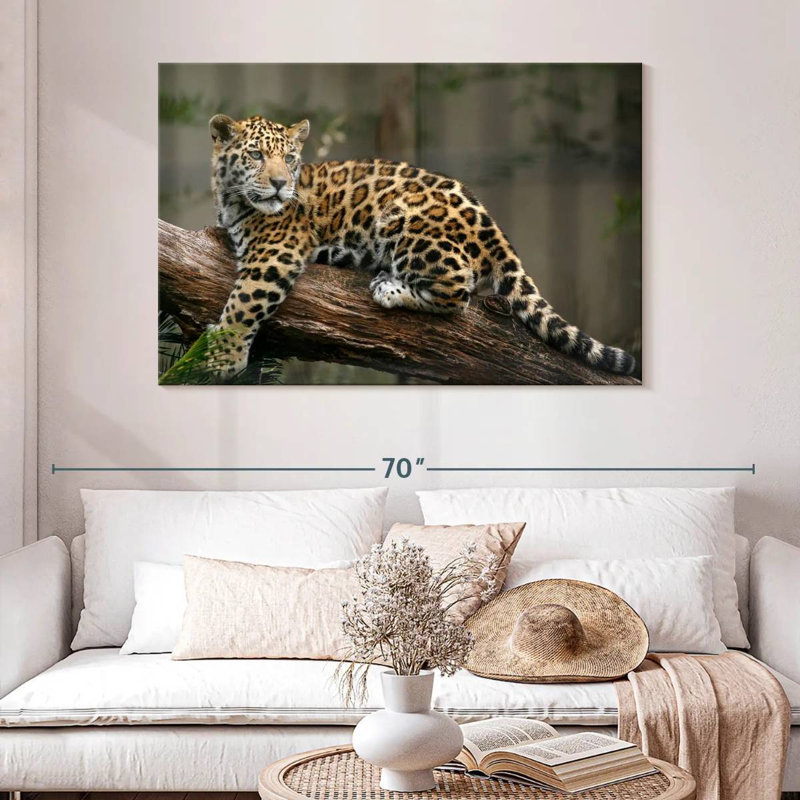 Regard de bébé jaguar Brampt, H 32 po x l 48 po