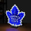 Logo NHL Toronto Maple Leafs Infinity
