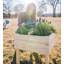 Jardinière surélevée Graylie