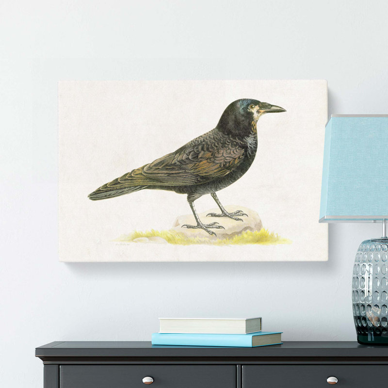 Rook by Von Wright - Wrapped Canvas, 50cm H x 76cm W x 3cm D