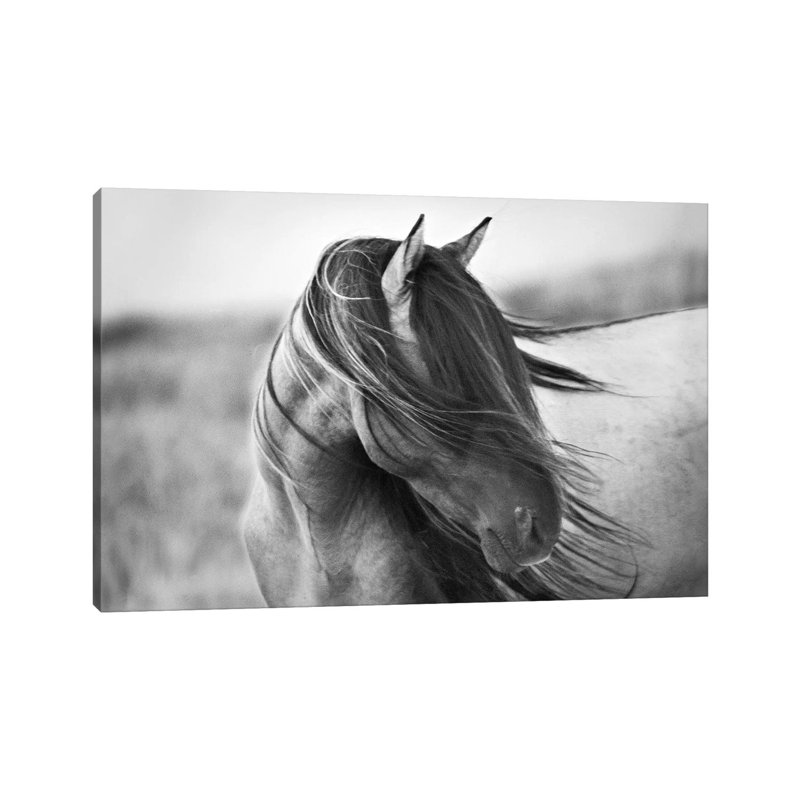 Tony Stromberg - Wrapped Canvas Print, 20.32 cm H x 30.48 cm W, Wrapped Canvas
