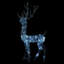 LED Indoor / Outdoor String Lights-1727342817