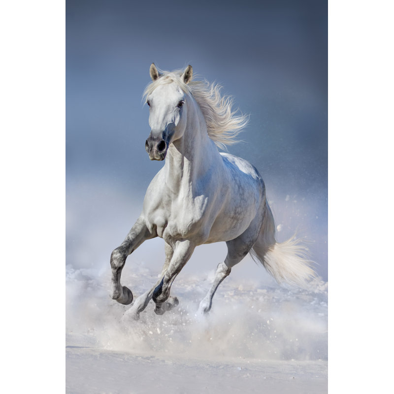 White Horse In Snow by Callipso - Wrapped Canvas Print, 76cm H x 51cm W