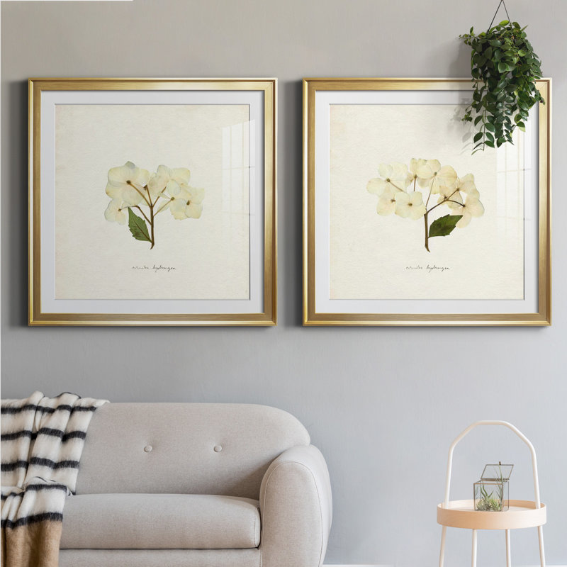 " Cornales Hydrangea I " 2 - Pieces, 26.5" H x 53" W, Gold, Framed Print with Mat