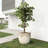 15.8'' Dia Off-white Large Plant Pot, Stone-like Textured Round Planter