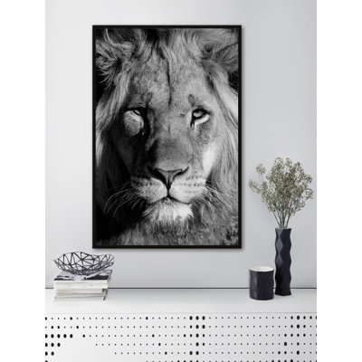 Lion Portrait 1 Piece Painting