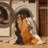 Shadowed Mesa Rug-1480486606