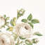 Loudon Rose Fabric-55967405