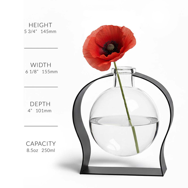 Vase de table en verre recyclé et support en métal arqué Diredra, capacité de 8,5 oz, transparent, Clair