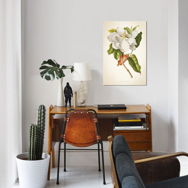 « magnolia botanique print i », impression sur toile, H 26 po x l 18 po x P 1,5 po, Toile tendue, Pas de tapis