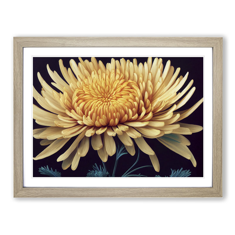 Charming Chrysanthemum Flower - Framed Print, 46cm H x 64cm W x 2cm D, Oak