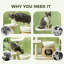 Tour à chat 31 "avec poteaux à griffer 31"
