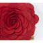  Housse de coussin en polyester-86924949-86924935-86924936