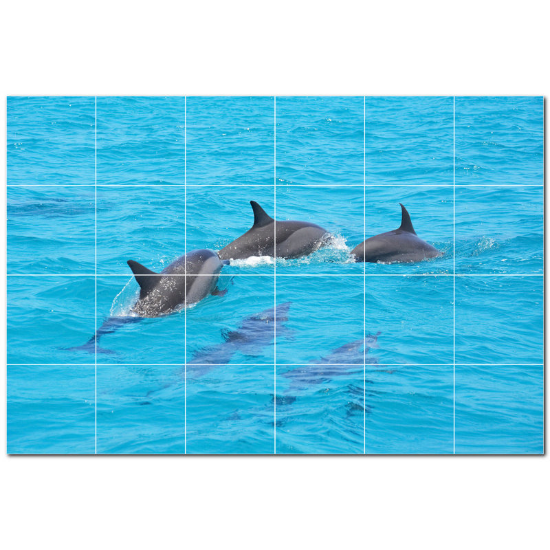 Photo d'un dauphin 4,25 x 4,25