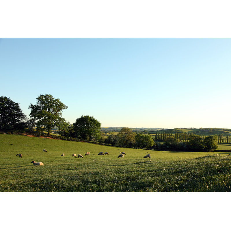 Northamptonshire Countryside Evening - Wrapped Canvas Print, 61cm H x 91cm W x 3.8cm D