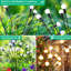 2X Bigger Solar Swaying Lights, 32 LEDs Solar Outdoor Decoration Light for Christmas