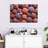 Empty Sea Urchin Shells-937236928