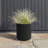 Demi Series Round Planter-83894851-83894852-86823200