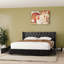 Lit rembourré en velours avec 4 tiroirs de rangement Better Home Products Izayah-812012408-812012294