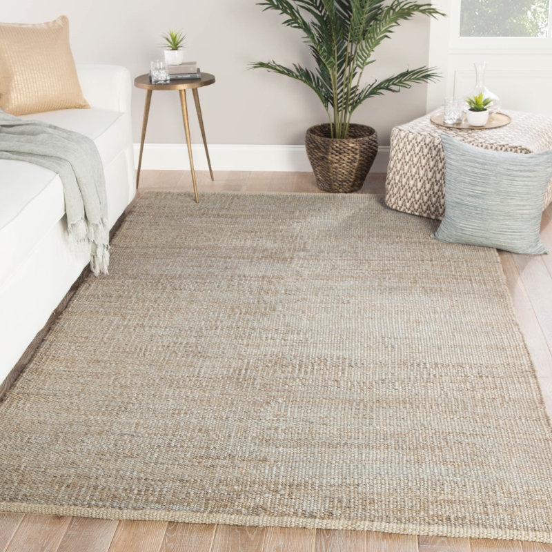 Tapis brun clair tissé à la main Prentiss, Rectangle de 10 pi x 14 pi