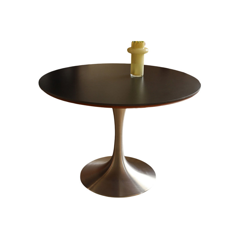 Table de salle à manger Modern, H 29,53 po x L 43,31 po x l 43,31 po