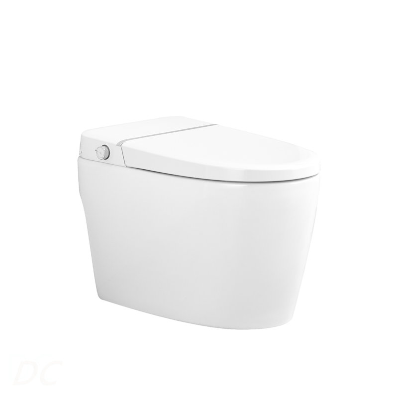 Combinaison de bidet de toilette intelligente avec buse autonettoyante, siège chauffant, veilleuse, commande à bouton, chasse d'eau en cas de panne de courant, fermeture en douceur, chasse automatique, avec télécommande