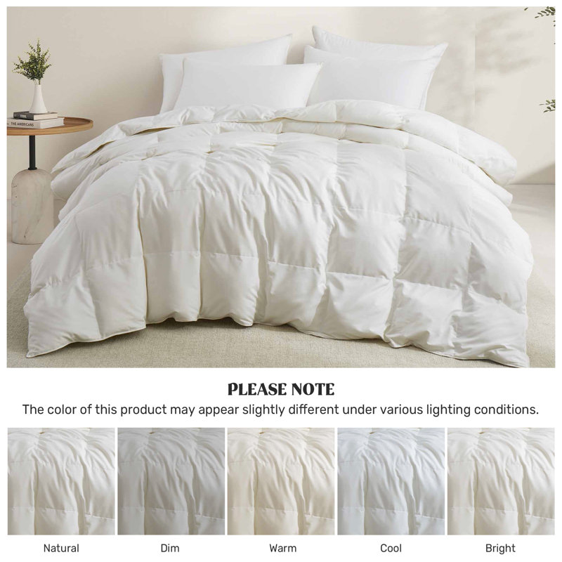  Soft All-Season Down Feather Fiber Comforter - Cozy, Fluffy Duvet Insert with Corner Tabs for Secure Fit, White