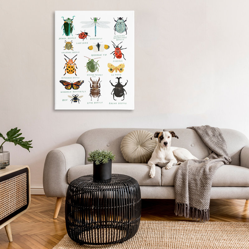 Art éducatif sur toile, "types d'insectes éducatifs" par Hanna Melin, H 48 po x l 36 po