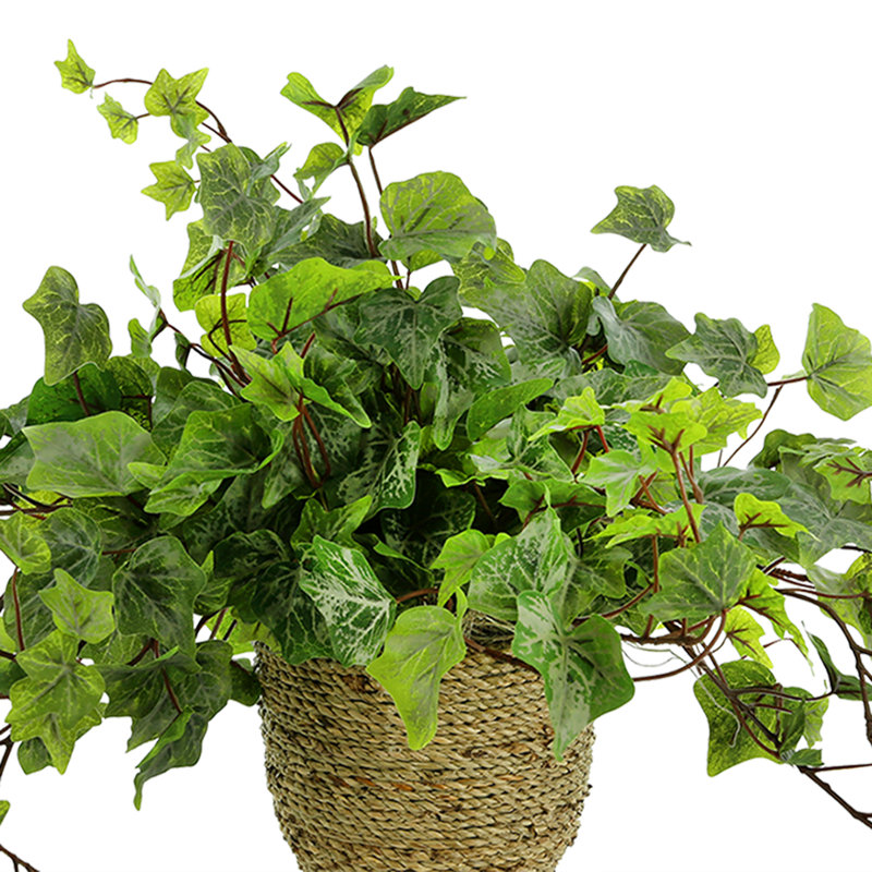 Nunn Faux Ivy Plant in Fiberstone Pot, Green, 15" H x 27" W x 27" D