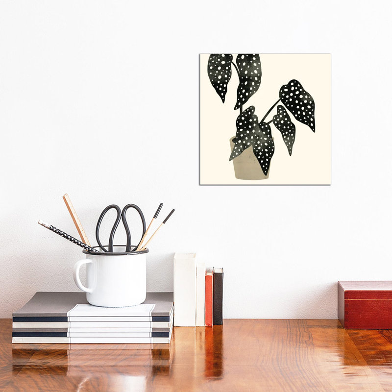 Plantling III by Victoria Barnes - Wrapped Canvas Painting, 30.48 cm H x 30.48 cm W