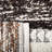 Pante Macassar Southwestern Hand-Woven Cotton/Wool Brown/Ivory/Black Area Rug-99904872