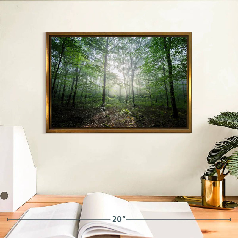 Lighting Forest II, Cadre flottant doré, 13 po x 9 po