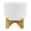 Panneau de papier peint Bennink Tropical Monstera-1503333986