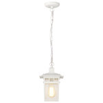 Valeri Outdoor Hanging Lantern