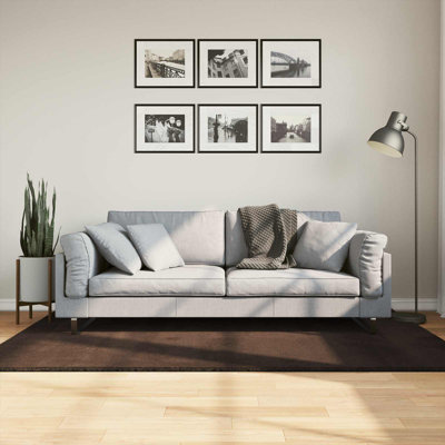 Modern Indoor Rug