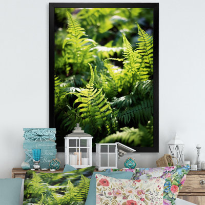 " Green Fern Fonds II "