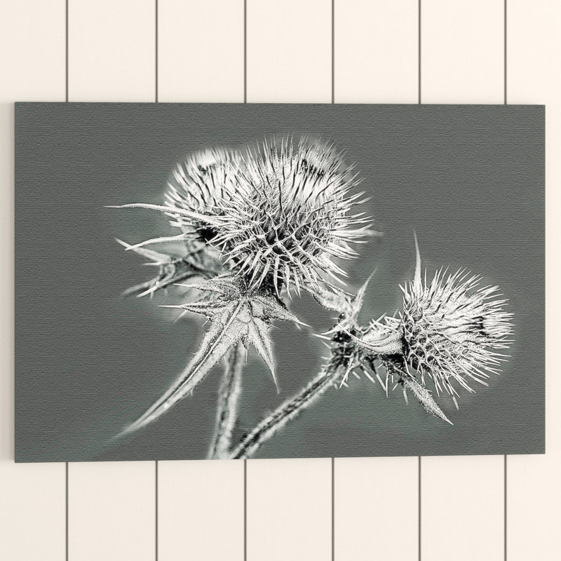 Wrapped Canvas Print, 50cm H x 76cm W