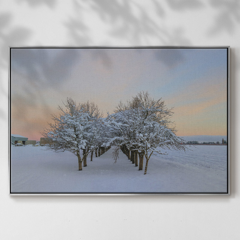Parmi les arbres, reproduction sur toile, H 25 po x l 37 po x P 2 po, Argent