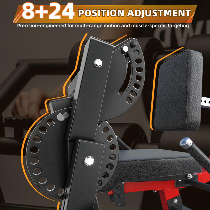 Leg Extension And Curl Lower Body Workout Machine