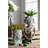 Feazell Cement Indoor / Outdoor Statue Planter