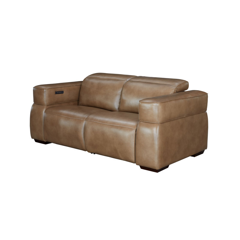 Matteo Reclining Loveseat, LE0604 Genuine Leather