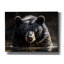 «Black Bear In Water» par Momart, art mural sur toile, 16 po x 12 po-144544377