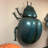 Beetle Insect Over Sized Statue