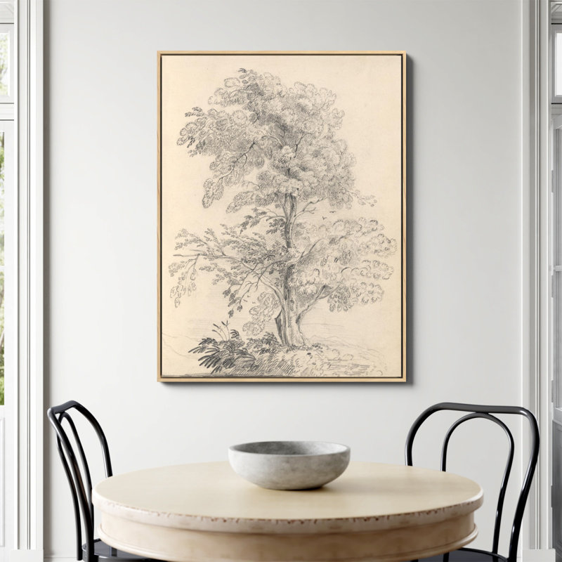 «Tree Sketch» par Wild Apple, Toile avec cadre flottant en érable, Non, H 48 po x l 36 po