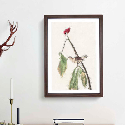 Louisiana Water Thrush by John Audubon - Picture Frame Painting Print